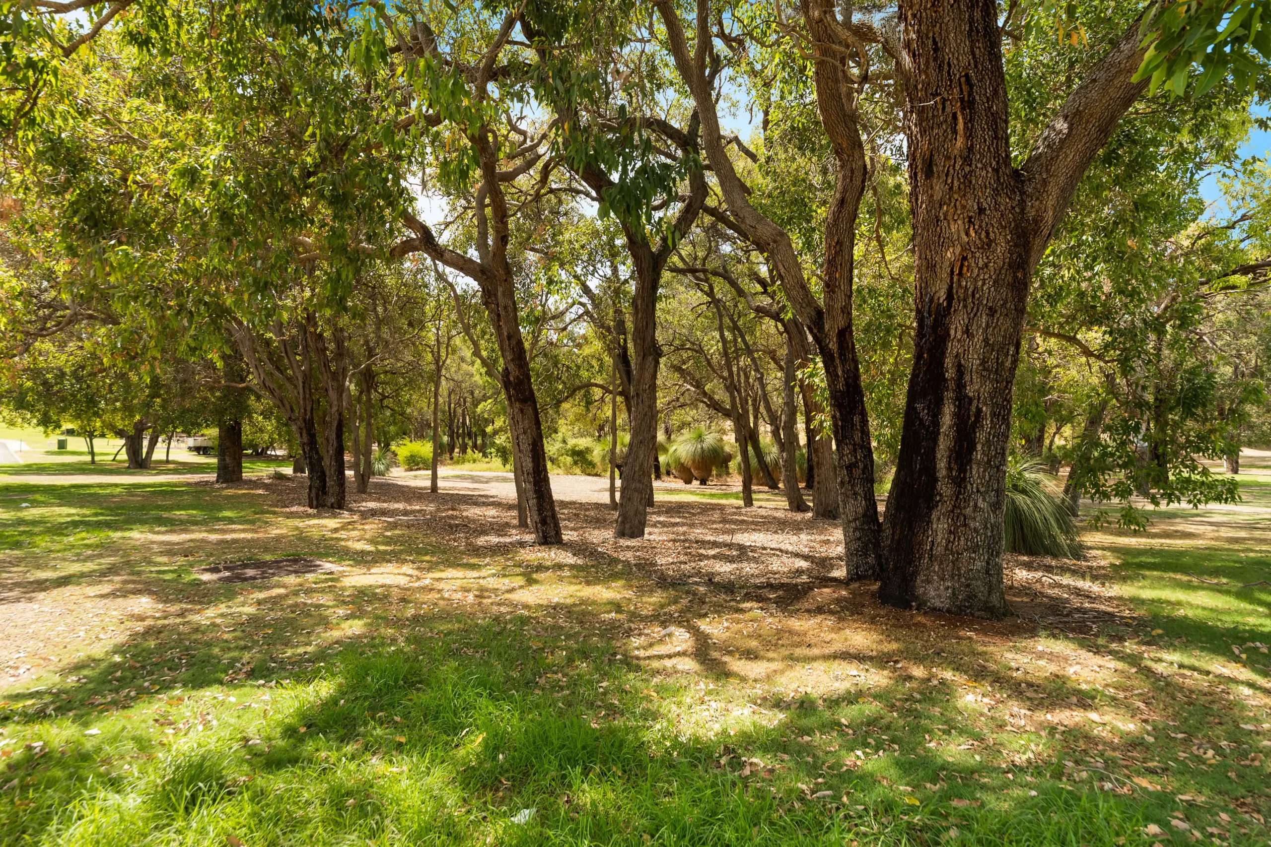 Coolbellup