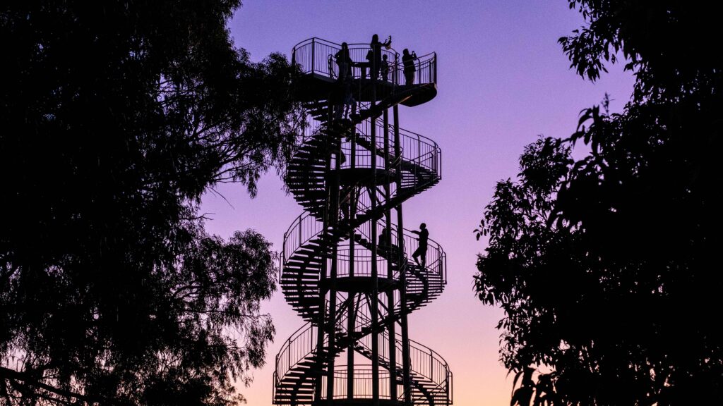 Kings-Park-DNA-Tower-nature-trails