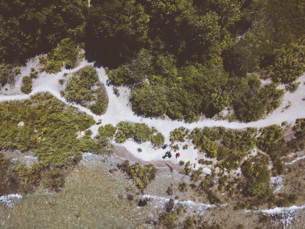 Aerial shot of green leafed trees
