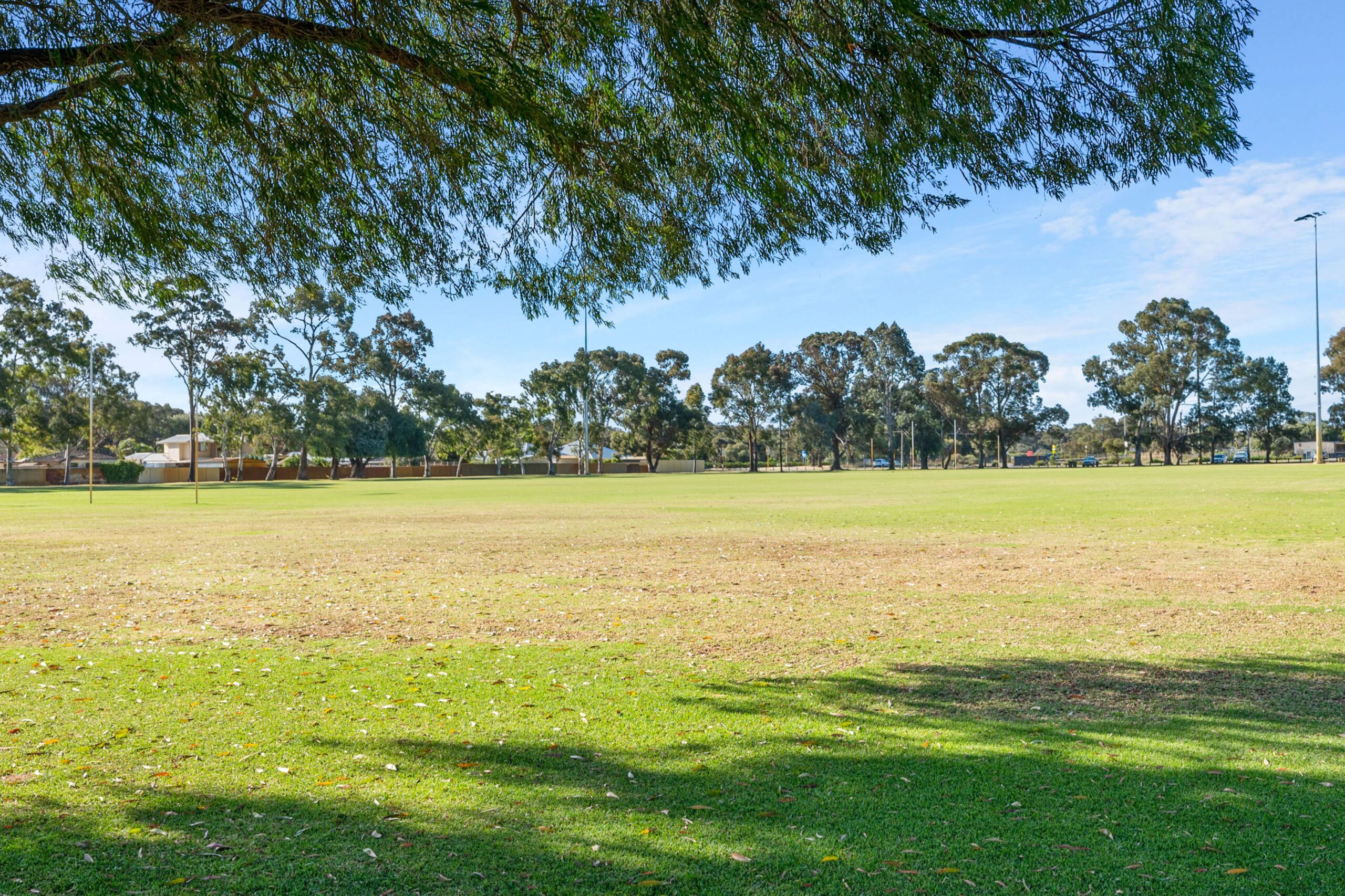 Real estate agents in Bibra Lake