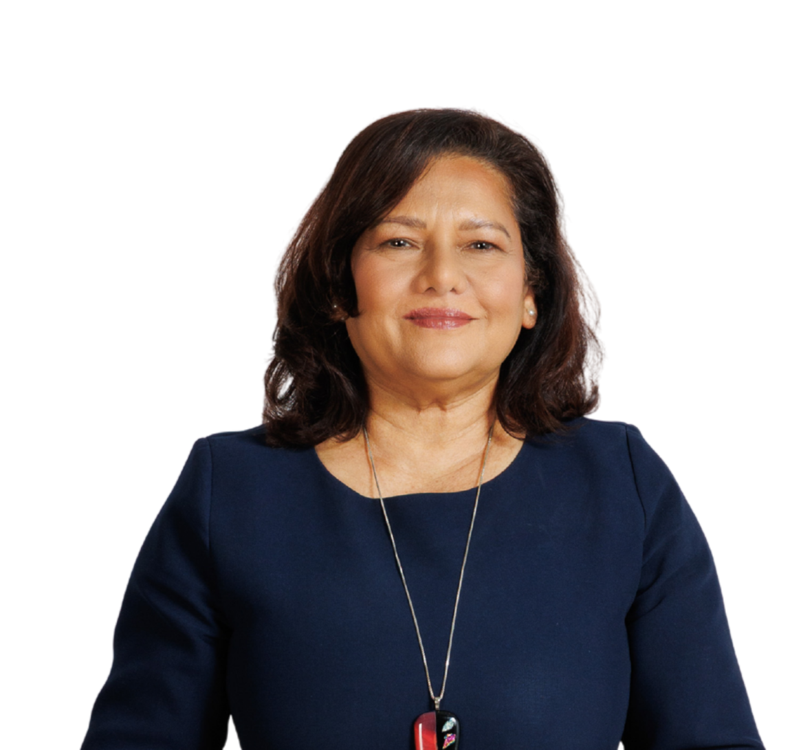 Ann Bashi Brown