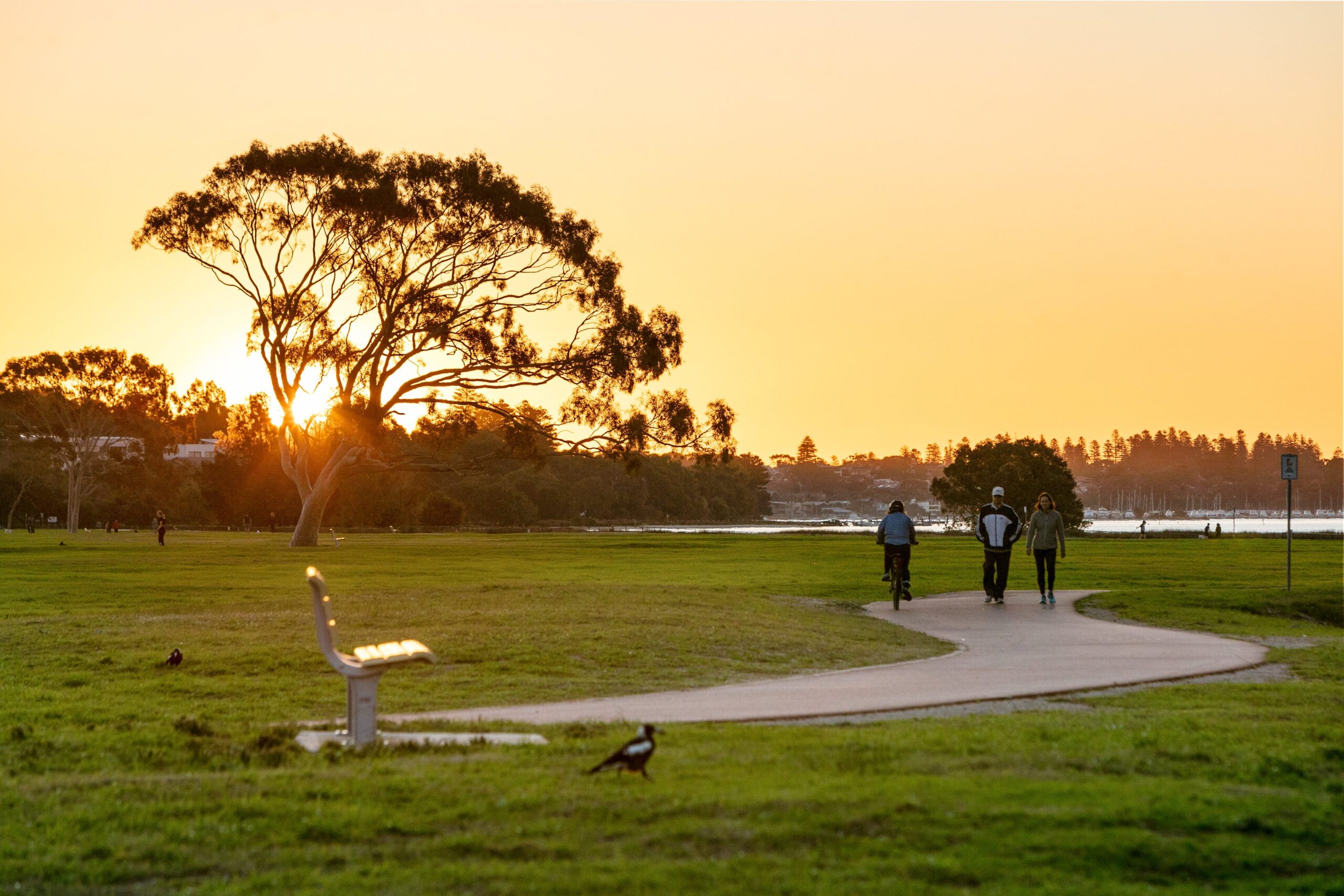 Attadale suburb image