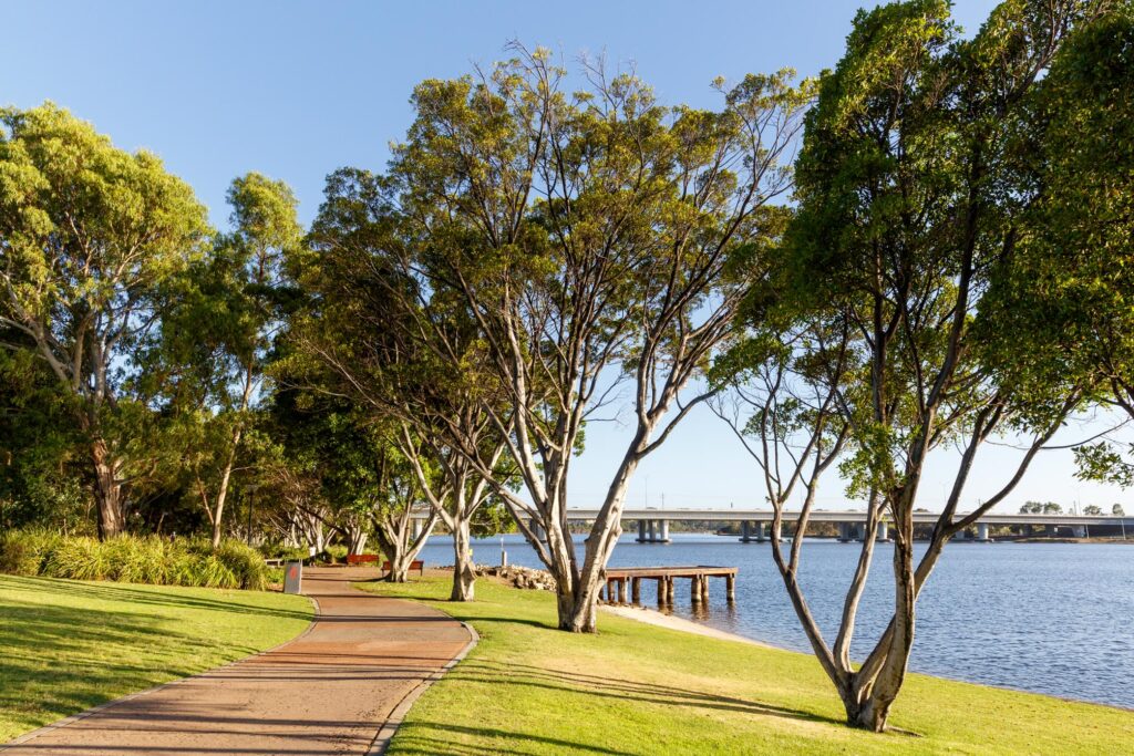 Mardalup Park, East Perth