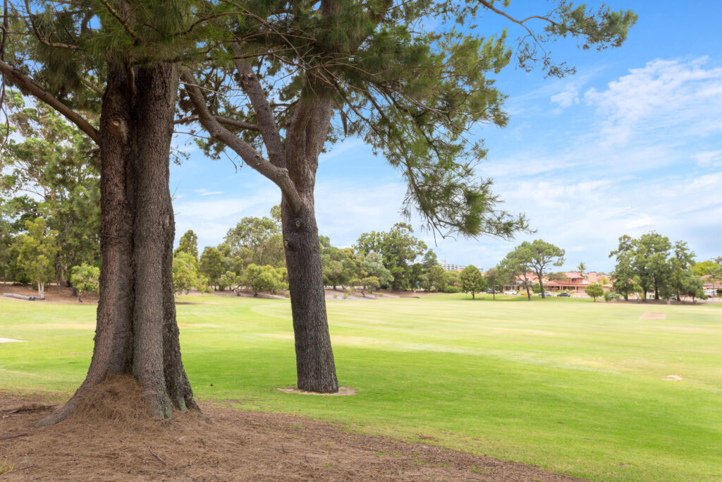 Open green parkland in Murdoch Perth with trees, suburban homes and blue sky, showcasing the suburb’s relaxed lifestyle and community spaces.
