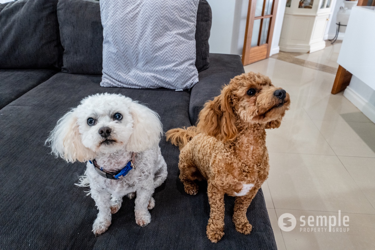 44 Sinagra Way, Yangebup WA 6164