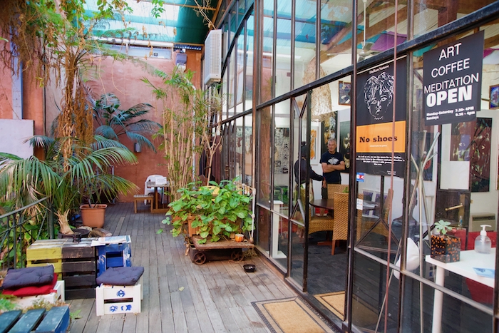 Outdoor area of DaRawNature Studio Gallery in Fremantle featuring lush plants, wooden decking, and glass-fronted café entrance.