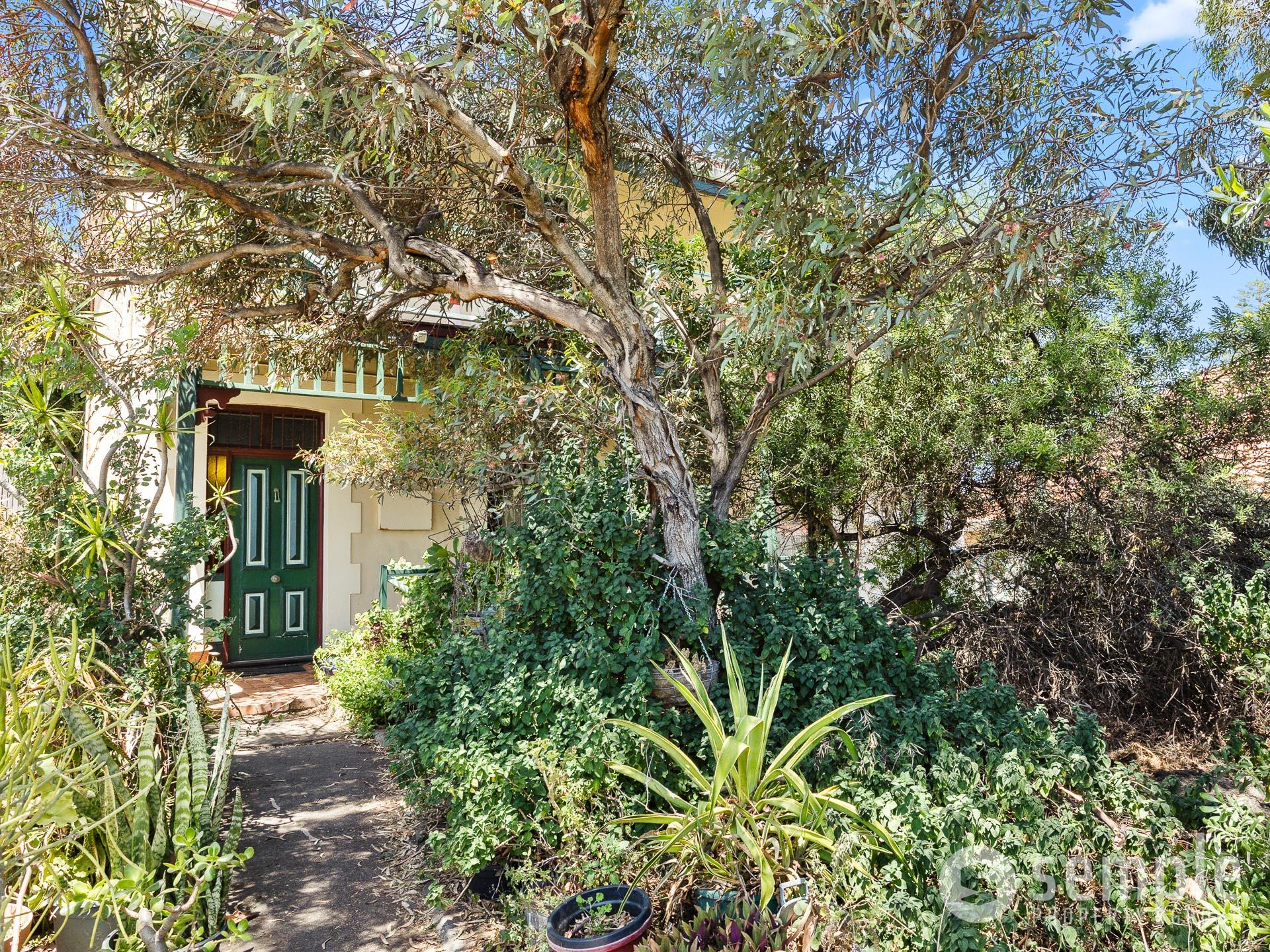 54 Attfield Street, Fremantle WA 6160