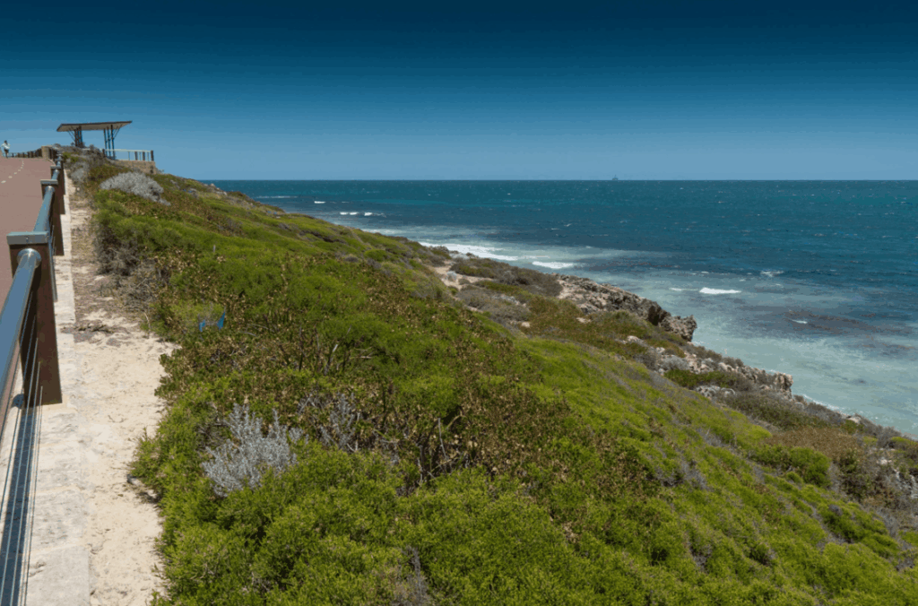Coastal walking path near Hillarys Boat Harbour overlooking limestone cliffs and the Indian Ocean in Perth, Western Australia.