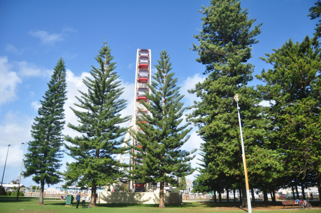 Fremantle WA Ferris wheel surrounded by parkland, showcasing south of the river lifestyle and local area